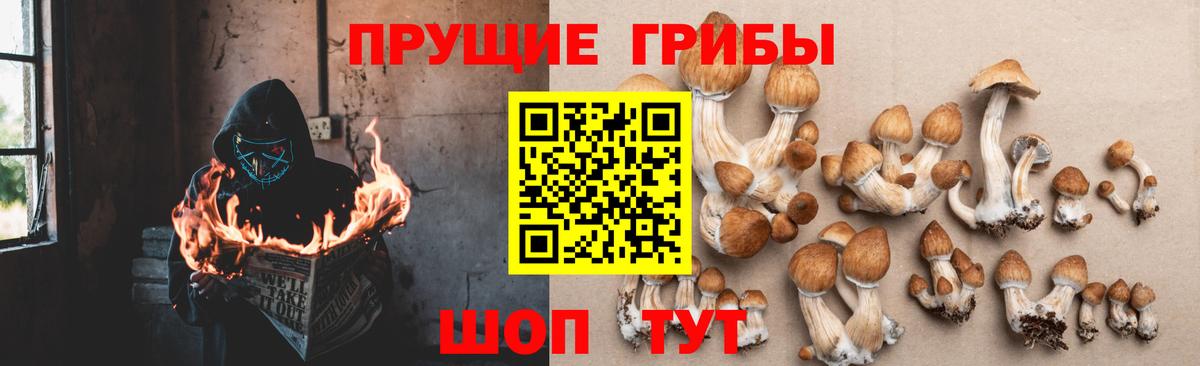 купить закладку  Галлюциногенные грибы ЛСД  Вход с VPN  Аша 